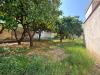 Appartamento in vendita con giardino a Nola - 06, Foto 6