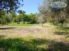 Terreno Agricolo in vendita a Bracciano in via circumlacuale - 03, Foto 3
