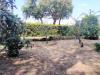 Appartamento in vendita con giardino a Roma in via trionfale - 05, Foto 5