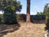 Appartamento in vendita con giardino a Roma in via trionfale - 06, Foto 6