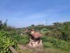 Villa in vendita con giardino a Frascati in via di fontana vecchia - 03, Foto 3