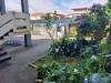 Casa indipendente in vendita a Carrara - marina di - 03