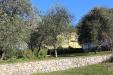 Villa in vendita con giardino a Calice al Cornoviglio - valdonica - 04
