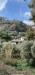 Villa in vendita con giardino a Portovenere - isola palmaria - 05