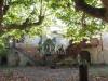 Villa in vendita con giardino a Pontedera - treggiaia - 05