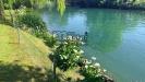 Villa in vendita con giardino a Treviso in via benzi 42 42 - 05, Foto 5