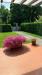 Casa indipendente in vendita con giardino a Treviso in via zanella - 06, Foto 6