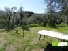 Terreno in vendita con giardino a Rosignano Marittimo - 05