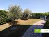 Casa indipendente in vendita con giardino a Rosignano Marittimo - 04