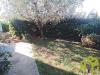 Casa indipendente in vendita con giardino a Rosignano Marittimo in via radice - 10