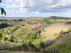 Terreno in vendita a Montalto delle Marche - collinare - 02