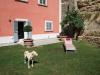 Rustico in vendita con terrazzo a Ascoli Piceno - collinare - 04