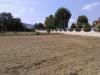 Terreno in vendita a Ortezzano - 04