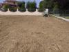 Terreno Edificabile in vendita a Ortezzano in via pagani - 03, Foto 3