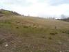 Terreno Agricolo in vendita a Montemonaco in cese snc - 03, Foto 3