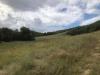 Terreno Agricolo in vendita a Rotella in s.p. 238 valdaso - 06, Foto 6