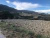 Terreno Agricolo in vendita a Treia in c.da santo stefano - 04, Foto 5