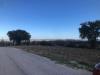 Terreno Agricolo in vendita a Treia in c.da santo stefano - 06, Foto 7