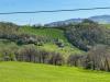 Terreno Agricolo in vendita a Amandola - 03, Foto 3
