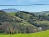 Terreno Agricolo in vendita a Amandola - 04, Foto 4