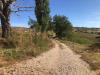 Terreno Agricolo in vendita a Santa Vittoria in Matenano in contrada san giovanni - 05, Foto 5