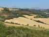 Terreno Agricolo in vendita a Force in c.da bolognano 1 - 02, Foto 2
