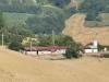 Terreno Agricolo in vendita a Force in c.da bolognano 1 - 07, Foto 8