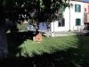 Appartamento in affitto con giardino a Pisa - san piero a grado - 03