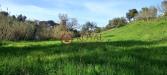 Terreno Agricolo in vendita a Livorno - 03