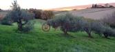 Terreno Agricolo in vendita a Rosignano Marittimo in via vicinale delle pianacce - 02, Foto 2