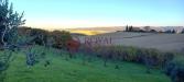Terreno Agricolo in vendita a Rosignano Marittimo in via vicinale delle pianacce - 03, Foto 3