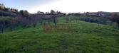 Terreno Agricolo in vendita a Rosignano Marittimo in via vicinale delle pianacce - 04, Foto 4
