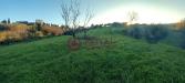 Terreno Agricolo in vendita a Rosignano Marittimo in via vicinale delle pianacce - 05, Foto 5
