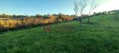 Terreno Agricolo in vendita a Rosignano Marittimo in via vicinale delle pianacce - 06, Foto 6
