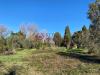 Rustico in vendita a Rosignano Marittimo - 04, Foto 4