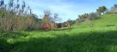 Terreno Agricolo in vendita a Livorno in via di montenero - 05, Foto 5