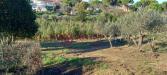 Terreno Agricolo in vendita a Livorno in via di montenero - 03, Foto 3