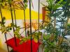 Appartamento bilocale in affitto con giardino a Livorno in via dei carrozzieri - 06, Foto 6