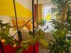 Appartamento bilocale in affitto con giardino a Livorno in via dei carrozzieri - 07, Foto 7