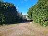 Rustico in vendita a Marcallo con Casone in via don sturzo snc - 04, Giardino