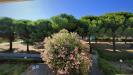Appartamento in vendita con giardino a Rosignano Marittimo - vada - 05