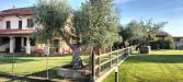 Casa indipendente in vendita con giardino a Grosseto - 10, Foto 10
