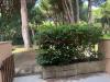 Appartamento bilocale in vendita con giardino a Grosseto - 06, Foto 6