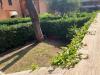 Casa indipendente in vendita con giardino a Castiglione della Pescaia - 04, Foto 4