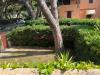 Casa indipendente in vendita con giardino a Castiglione della Pescaia - 06, Foto 6