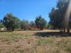 Terreno Agricolo in vendita a Grosseto - 05, Foto 5