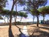 Appartamento in vendita da ristrutturare a Follonica - 04, Foto 4