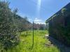 Terreno Agricolo in vendita a Grosseto - 09, Foto 9