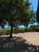 Villa in vendita con giardino a Castiglione della Pescaia - 06, Foto 6