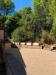 Villa in vendita con giardino a Castiglione della Pescaia - 07, Foto 7